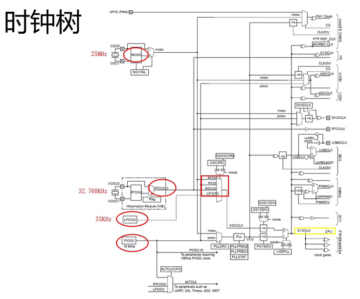 时钟树